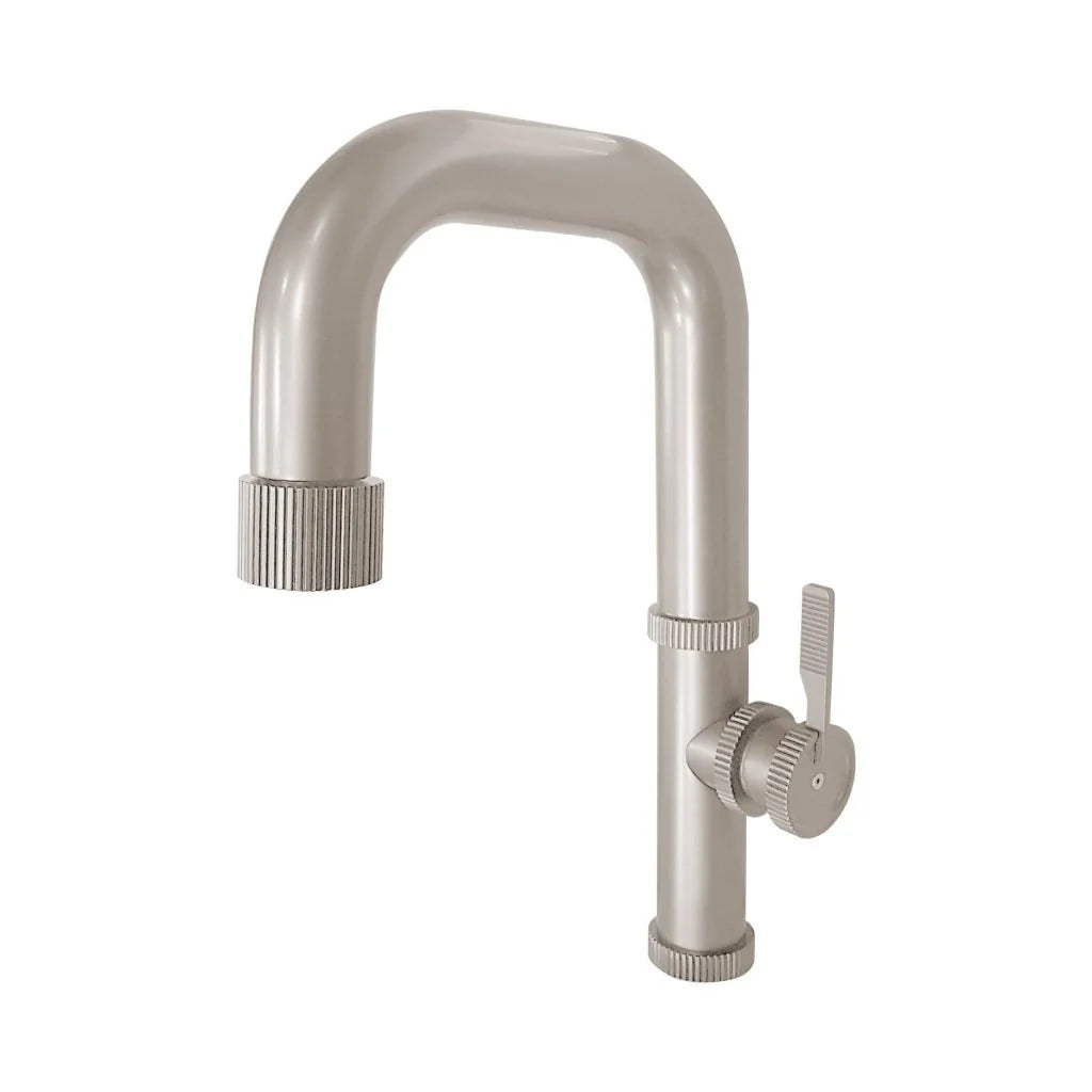 Aquadesign Raw w/ Dual Spray Kitchen Faucets