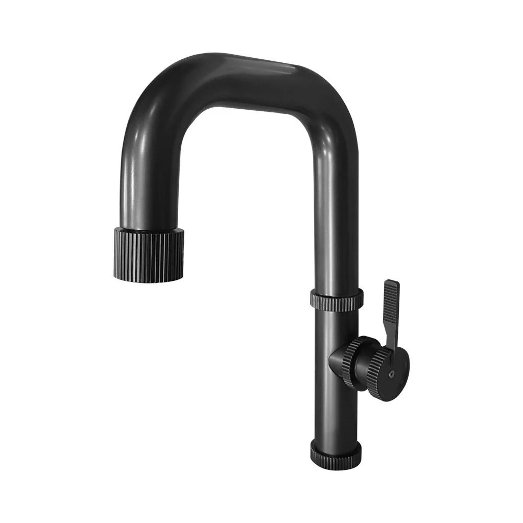 Aquadesign Raw w/ Dual Spray Kitchen Faucets