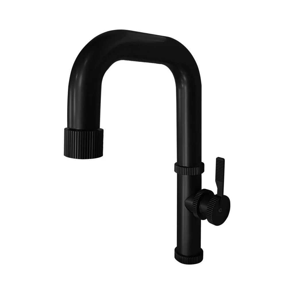 Aquadesign Raw w/ Dual Spray Kitchen Faucets