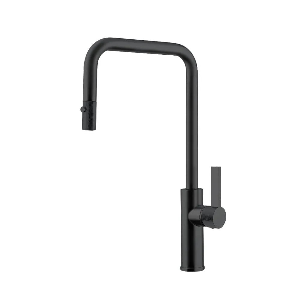 Aquadesign Urban Luz with Dual Spray Kitchen Faucets