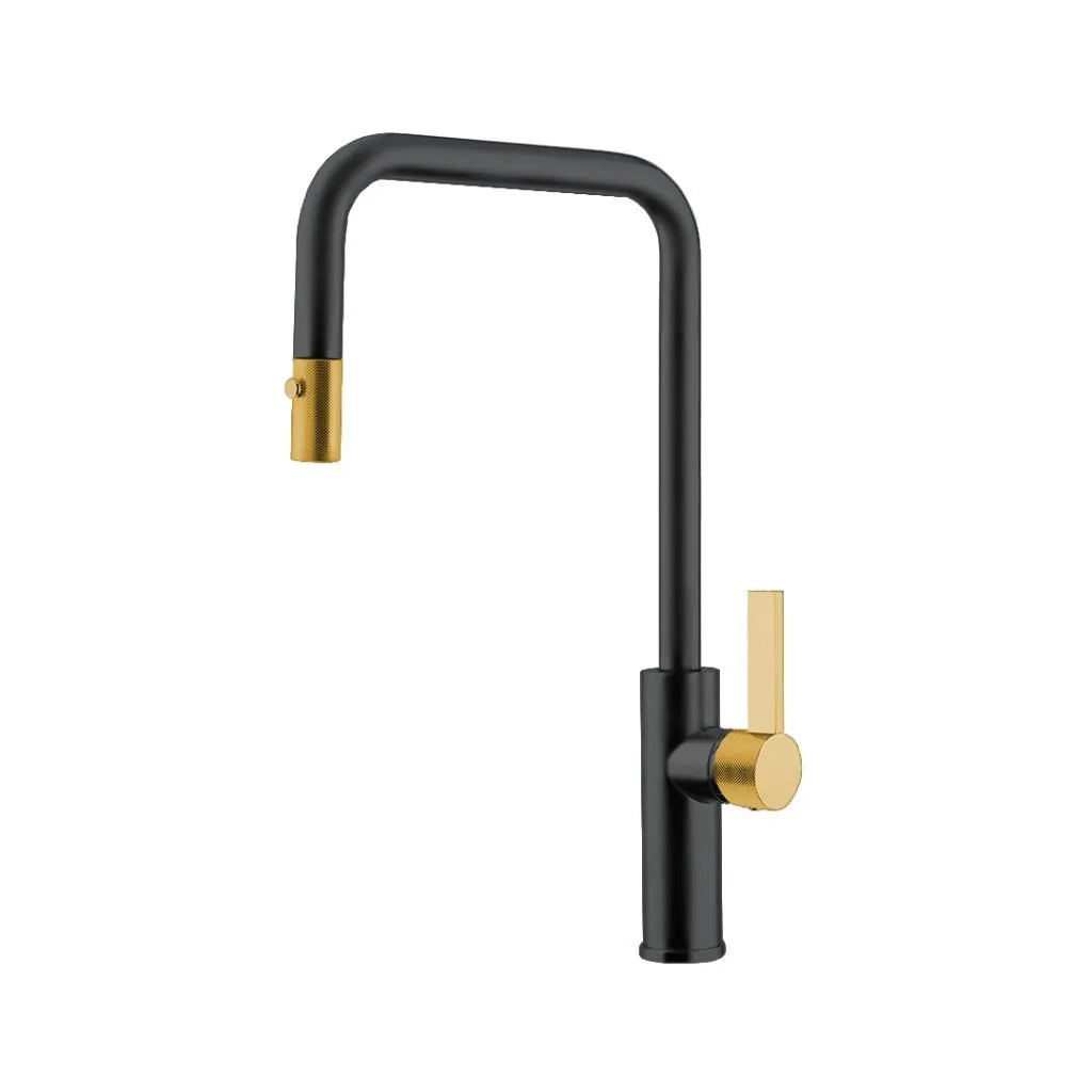Aquadesign Urban Luz with Dual Spray Kitchen Faucets