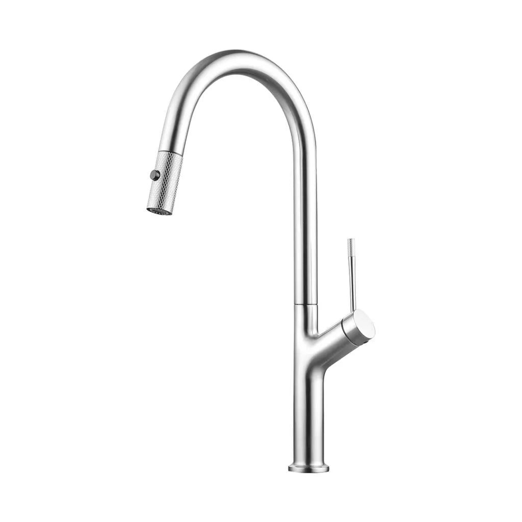 Aquadesign Maier w/Dual Spray Kitchen Faucets